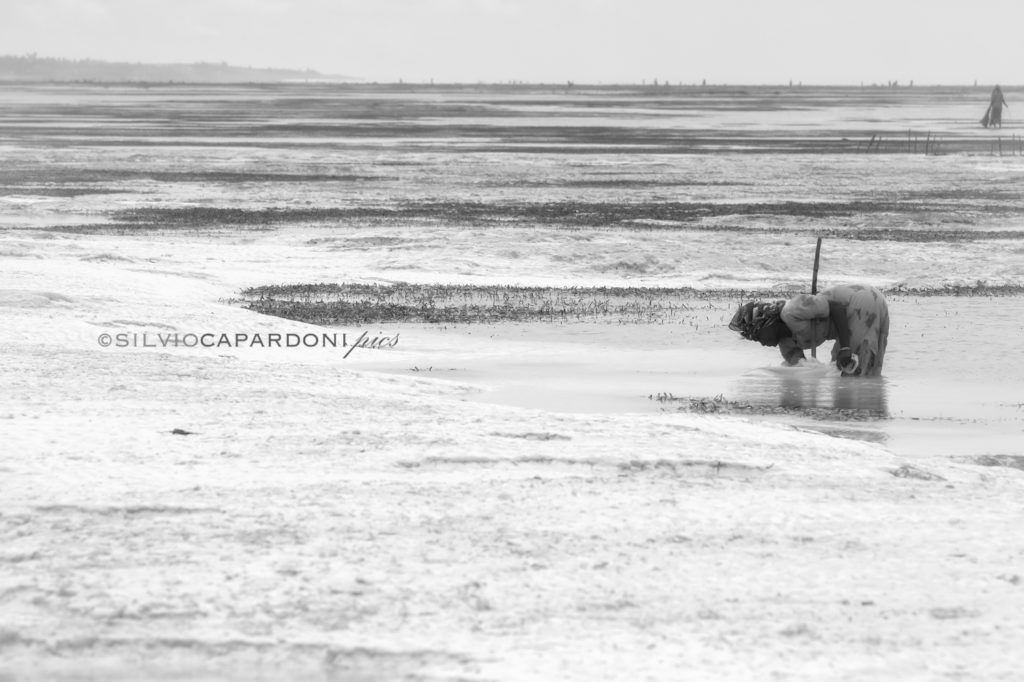 Low tide in black and white landscape on the coast with woman at work, Zanzibar, Tanzania