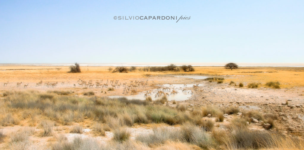 The place called the land of the mirages created by desert natural reflex, Etosha, Namibia