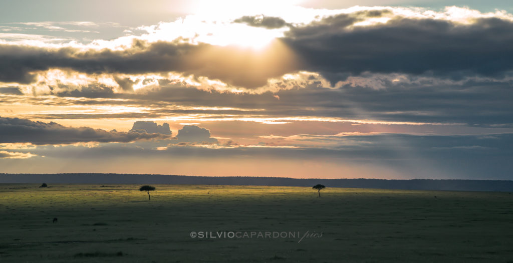 Masai Mara landscape before sunset with last rays of light over grasslands, Masai Mara, Kenya
