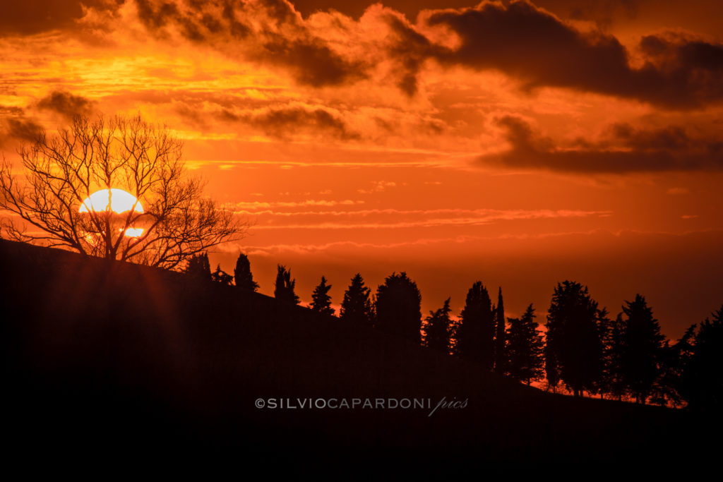 Sunset silhouette of Tuscany hill with trees backlit in summer, Toscana, Italia