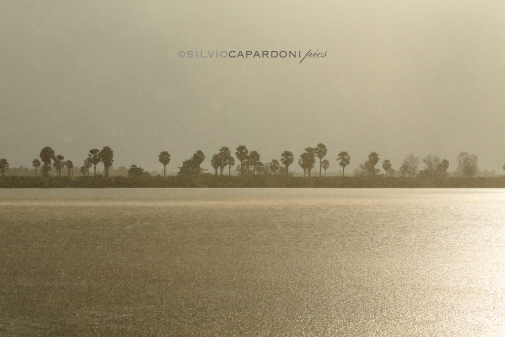 Sun and rain over a small lake of the Rufiji river in late afternoon, Selous, Tanzania