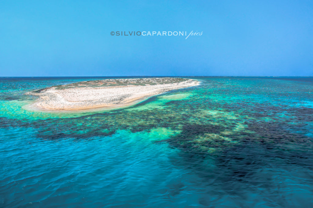 Wady el Gimal atoll with a little island emerged from the Red Sea, Red Sea, Egypt